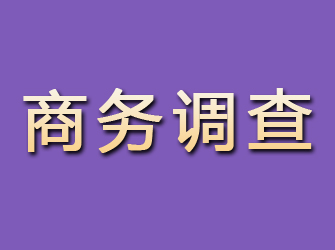 嘉峪关商务调查